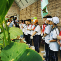 碧嶺現(xiàn)代農(nóng)業(yè)科技園